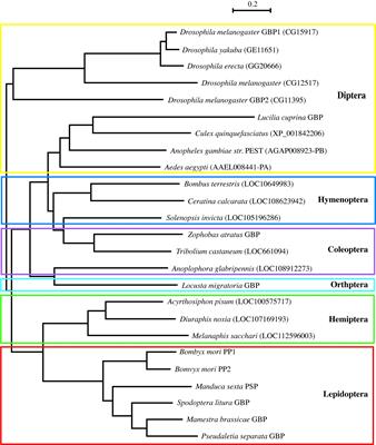 Functional Multiplicity of an Insect Cytokine Family Assists Defense Against Environmental Stress